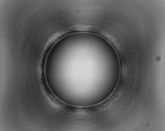 X0000102020682200807251332