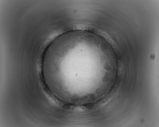 X0000102020683200807251332