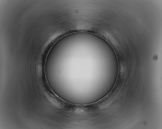X0000102020684200807251332