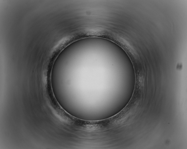 X0000102020686200807251332