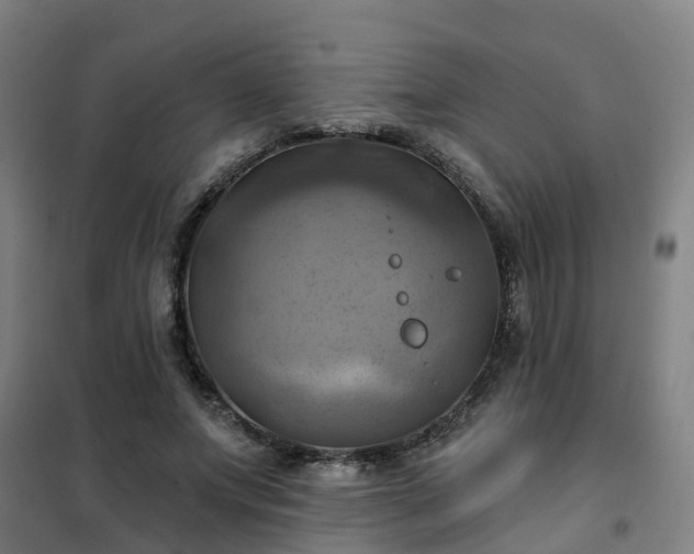 X0000102020687200807251332