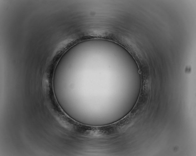 X0000102020688200807251332