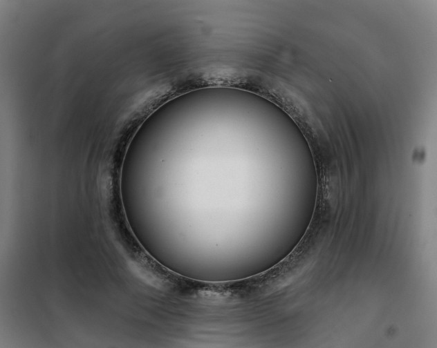 X0000102020690200807251332