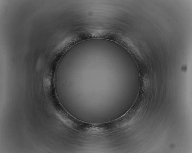 X0000102020691200807251332