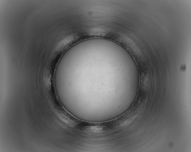 X0000102020692200807251332