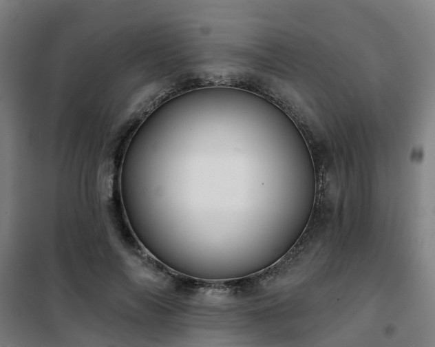 X0000102020694200807251332