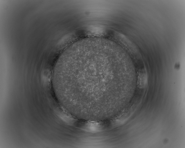 X0000102020701200807251332