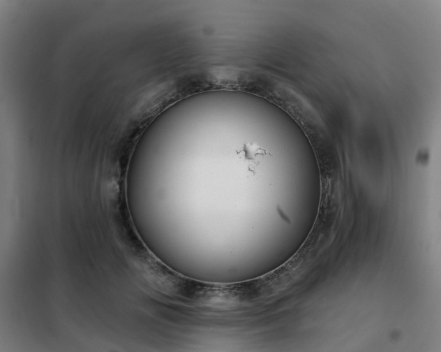 X0000102020702200807251332