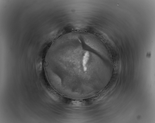 X0000102020703200807251332