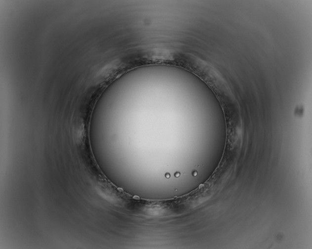 X0000102020704200807251332