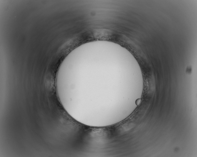 X0000102020705200807251332