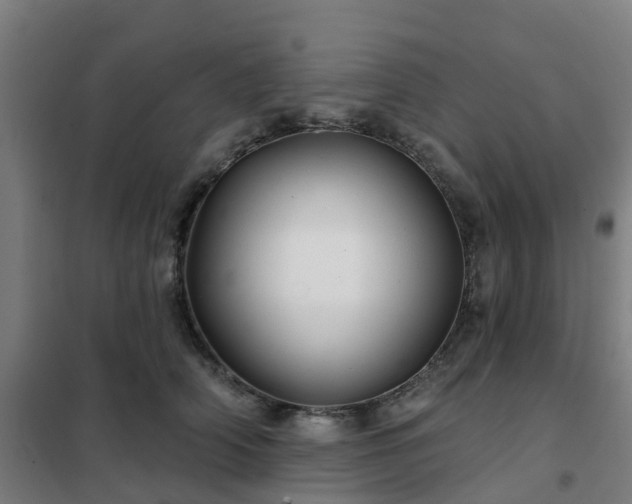 X0000102020706200807251332