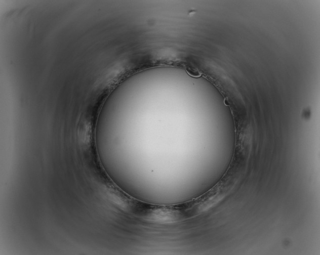 X0000102020708200807251332