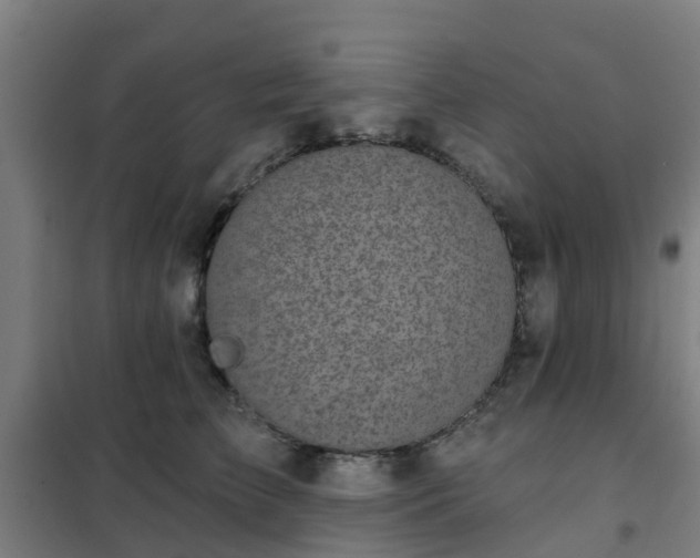 X0000102020709200807251332