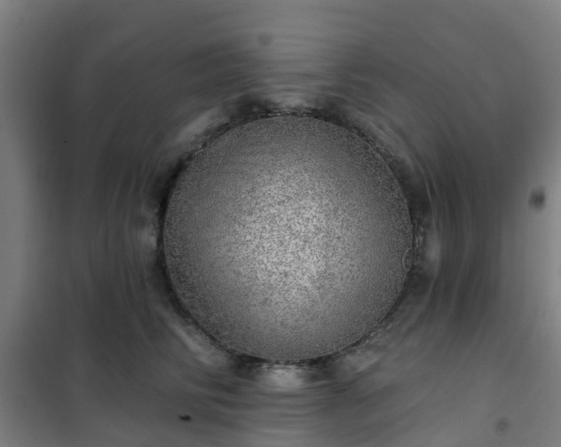 X0000102020710200807251332