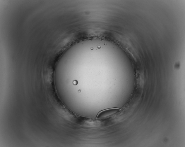 X0000102020712200807251332