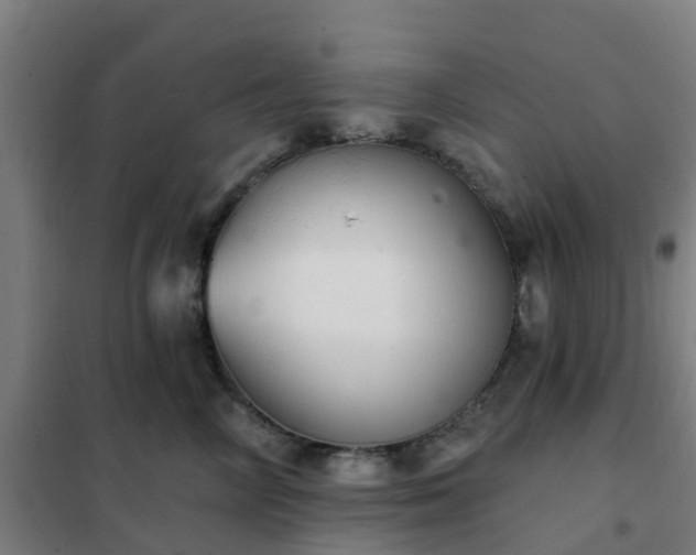 X0000102020714200807251332