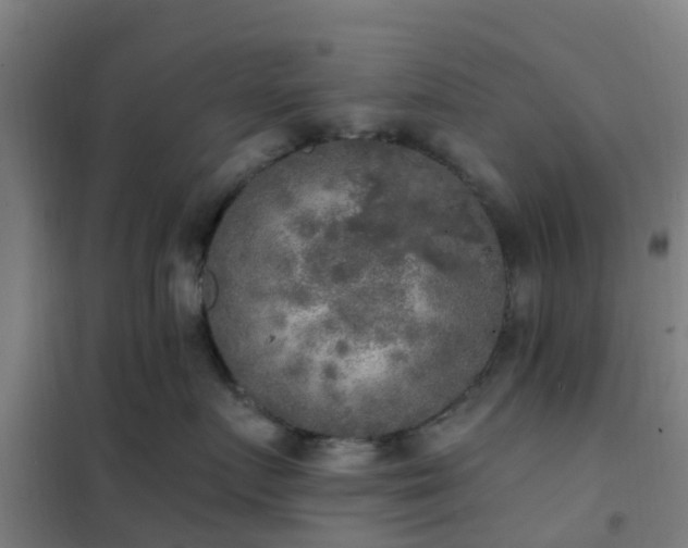 X0000102020719200807251332