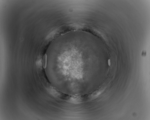 X0000102020720200807251332