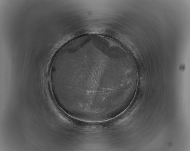 X0000102020721200807251331