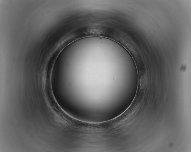 X0000102020722200807251331