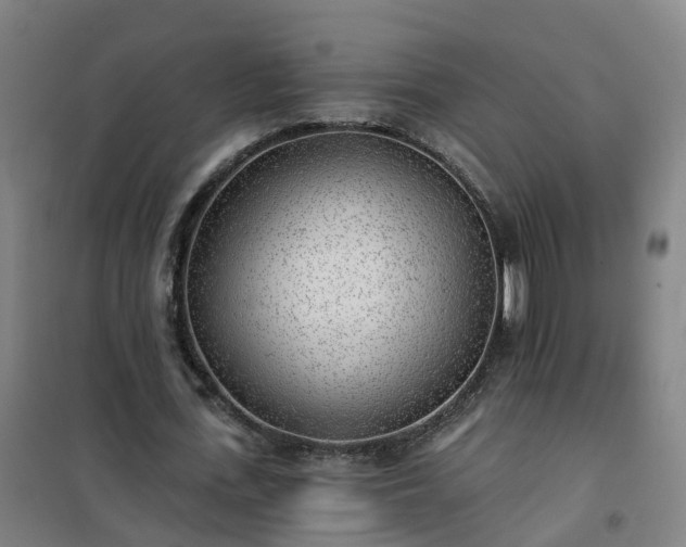 X0000102020723200807251331