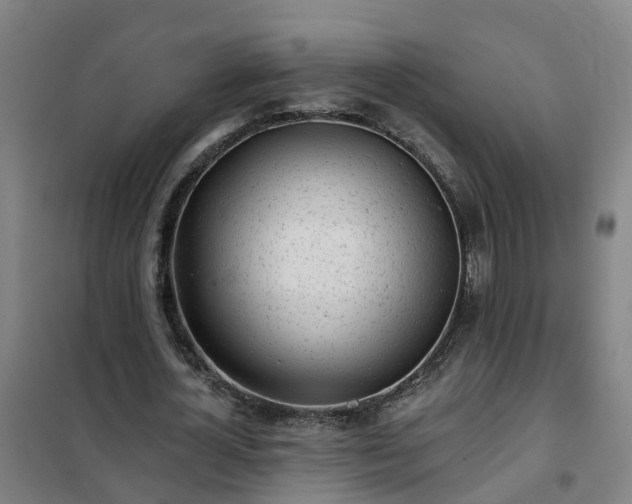 X0000102020724200807251331