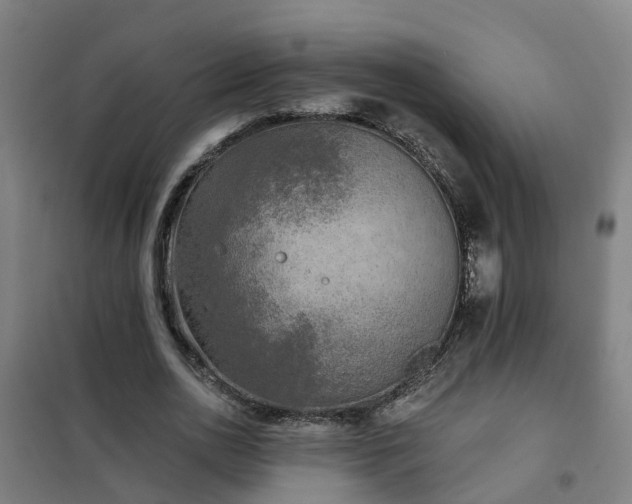 X0000102020726200807251331