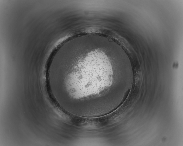 X0000102020727200807251331