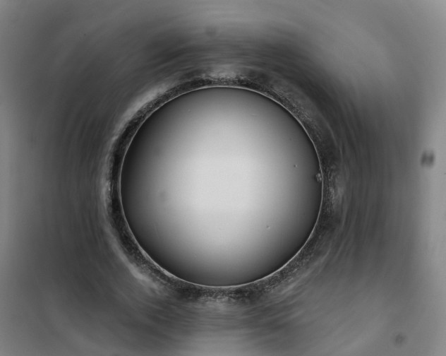 X0000102020728200807251331
