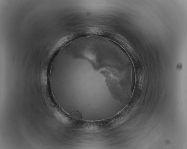 X0000102020729200807251331