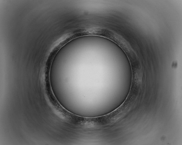 X0000102020730200807251331