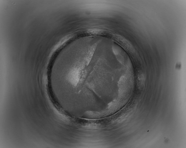 X0000102020734200807251331