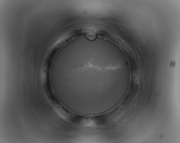 X0000102020735200807251331