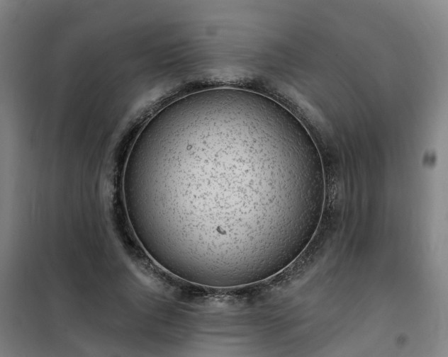 X0000102020736200807251331