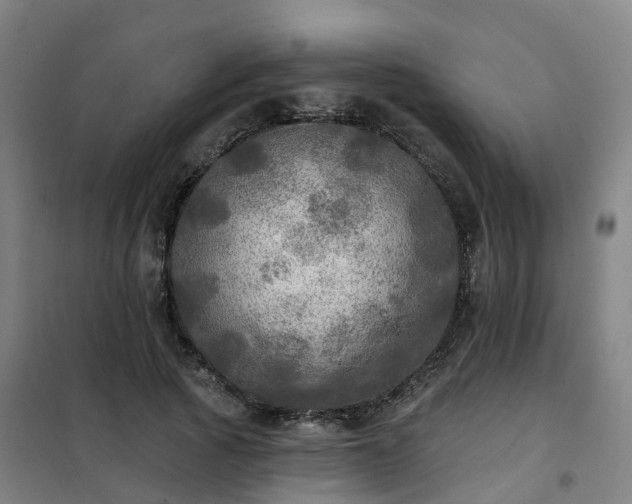 X0000102020737200807251331