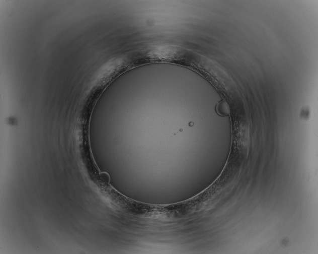 X0000102020738200807251331