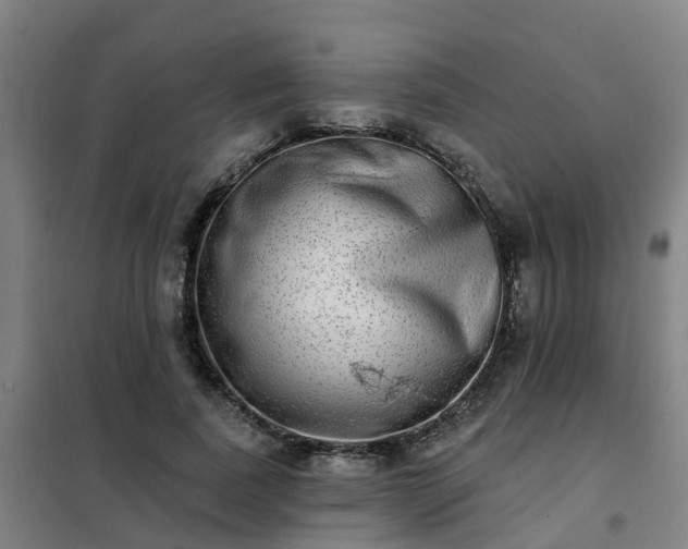 X0000102020739200807251331