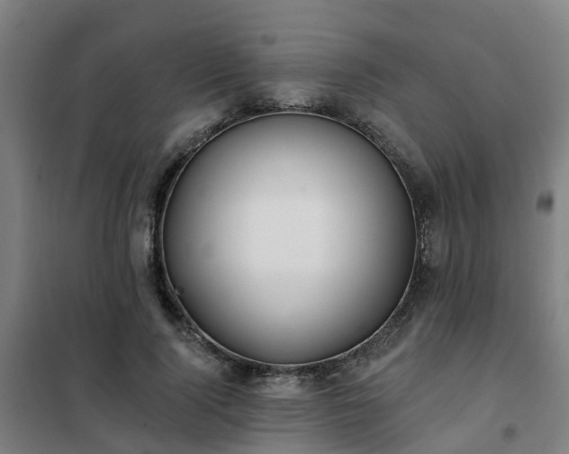 X0000102020740200807251331