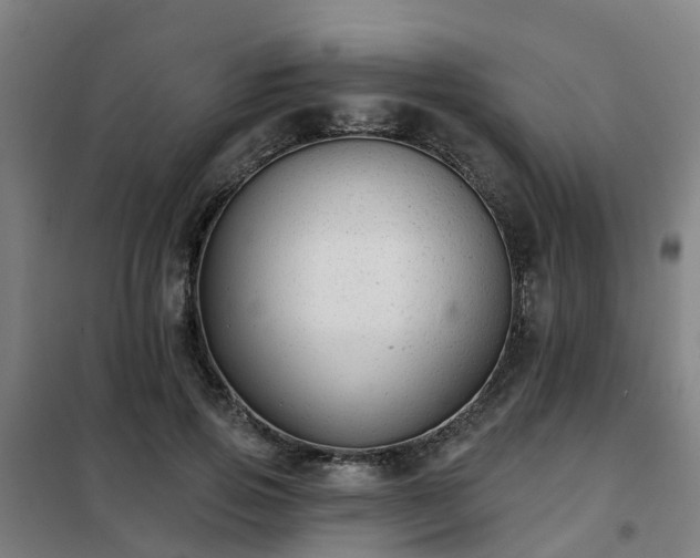 X0000102020741200807251331