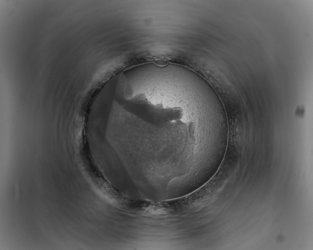 X0000102020742200807251331