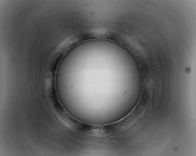 X0000102020744200807251331