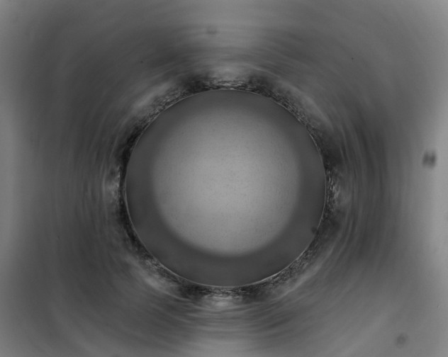 X0000102020745200807251331
