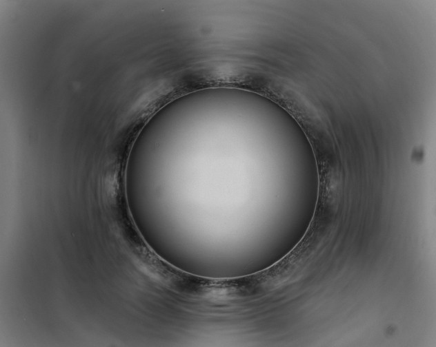 X0000102020746200807251331