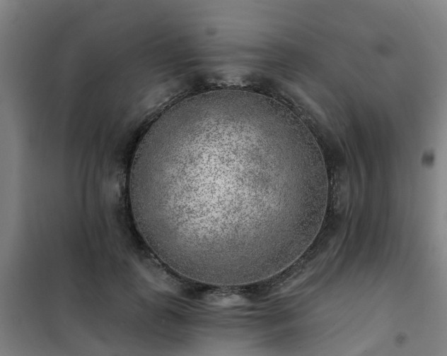 X0000102020747200807251331
