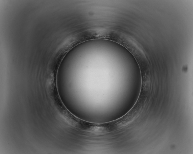 X0000102020748200807251331