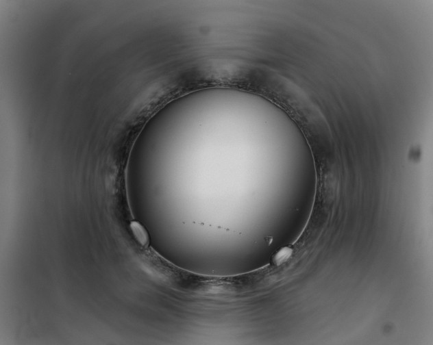 X0000102020750200807251331