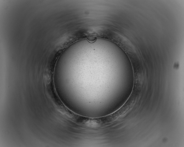 X0000102020751200807251331