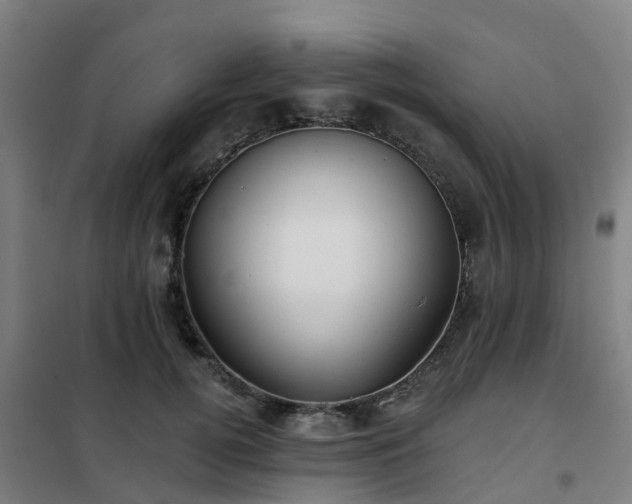 X0000102020752200807251331