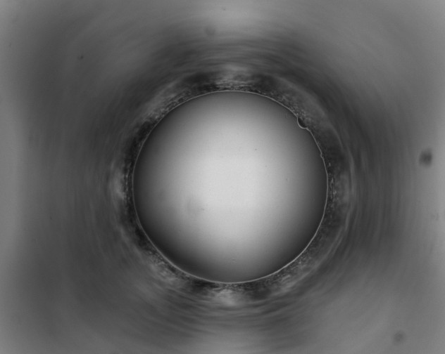 X0000102020755200807251331